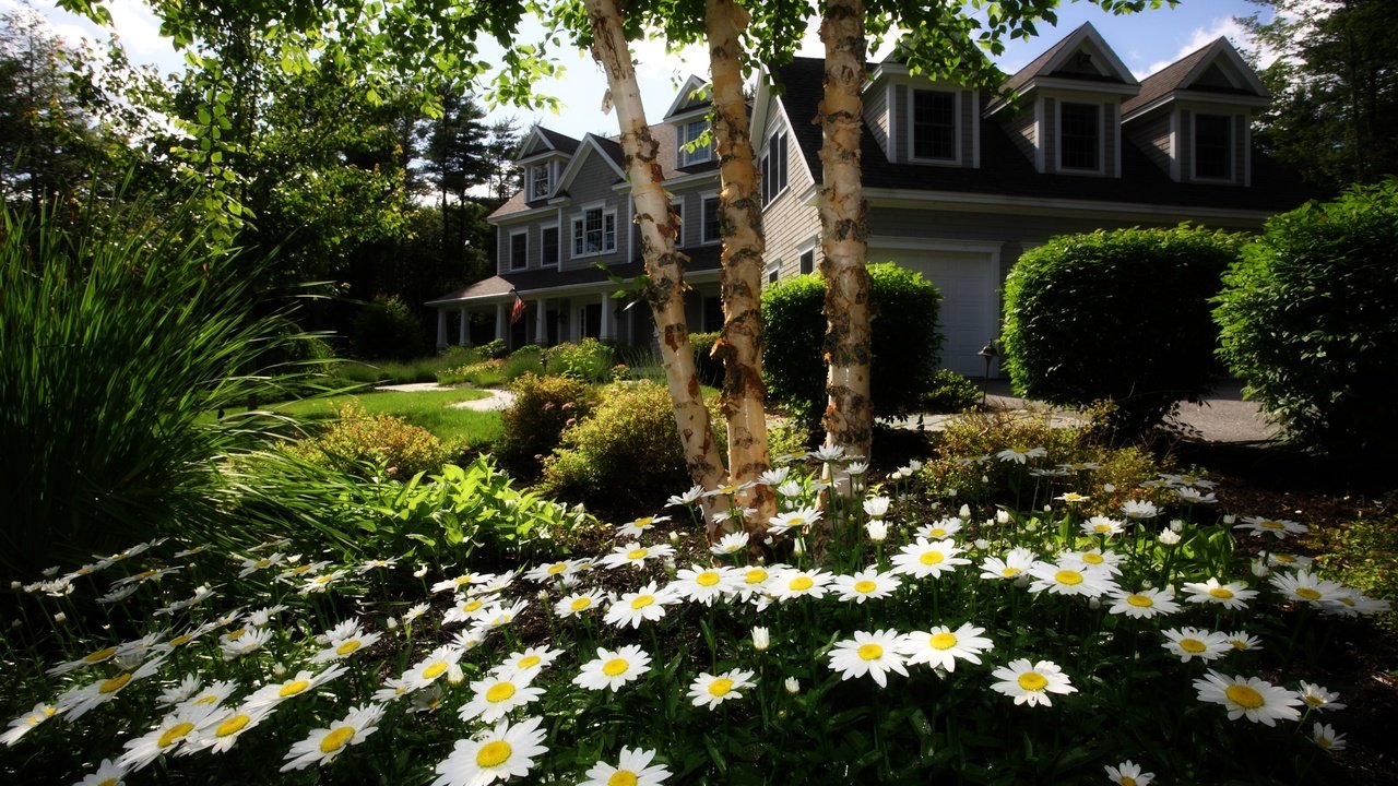 Обои цветы, трава, деревья, сад, дом, ромашки, лужайка, коттедж, flowers, grass, trees, garden, house, chamomile, lawn, cottage разрешение 4000x2776 Загрузить