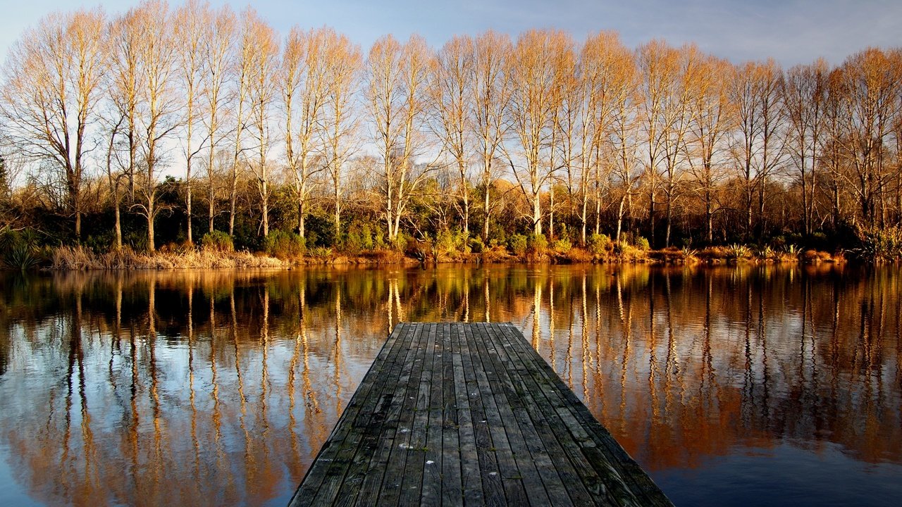 Обои деревья, осень, вода, пирс, озеро, природа, мостик, лес, отражение, пейзаж, trees, autumn, water, pierce, lake, nature, the bridge, forest, reflection, landscape разрешение 2400x1535 Загрузить