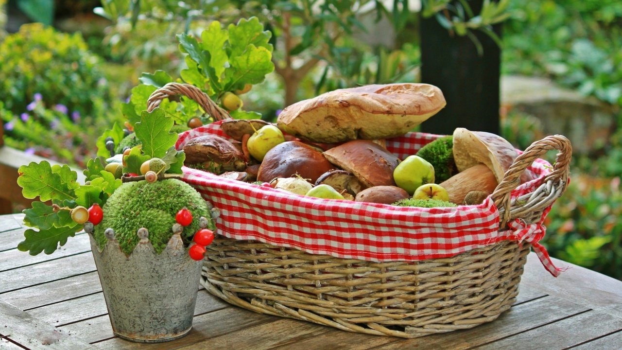 Обои яблоки, грибы, корзинка, боровики, apples, mushrooms, basket разрешение 4000x2276 Загрузить