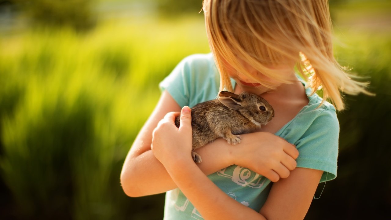 Обои девочка, волосы, лицо, кролик, животное, нежность, друзья, girl, hair, face, rabbit, animal, tenderness, friends разрешение 2560x1707 Загрузить