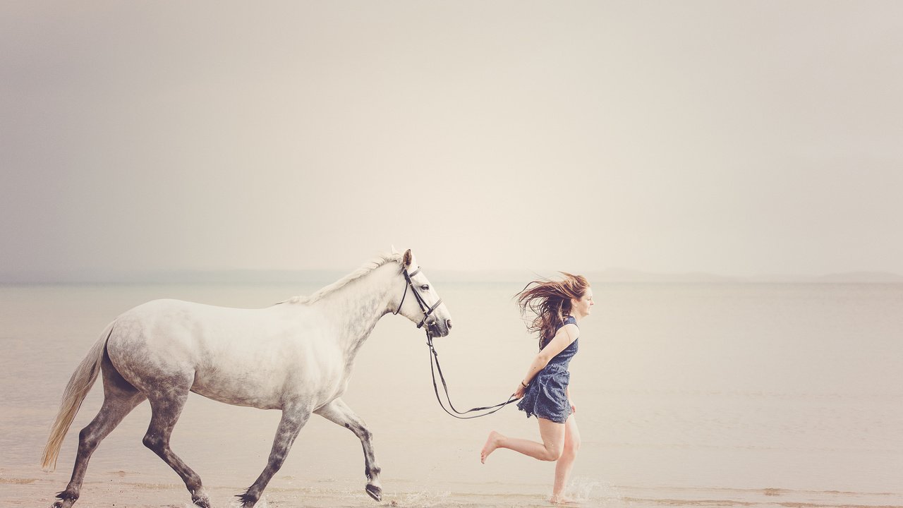 Обои лошадь, берег, девушка, море, пляж, горизонт, свобода, бег, horse, shore, girl, sea, beach, horizon, freedom, running разрешение 2048x1367 Загрузить