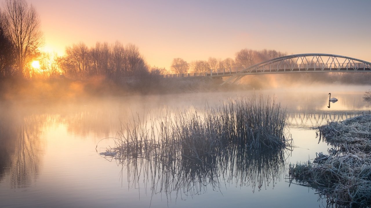 Обои река, природа, пейзаж, утро, туман, мост, птица, лебедь, river, nature, landscape, morning, fog, bridge, bird, swan разрешение 2880x1800 Загрузить