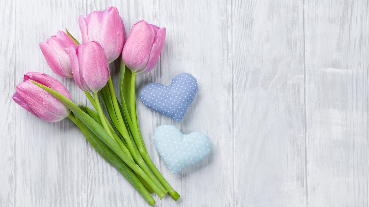 Обои цветы, букет, тюльпаны, сердечки, evgeny karandaev, flowers, bouquet, tulips, hearts разрешение 5616x3744 Загрузить