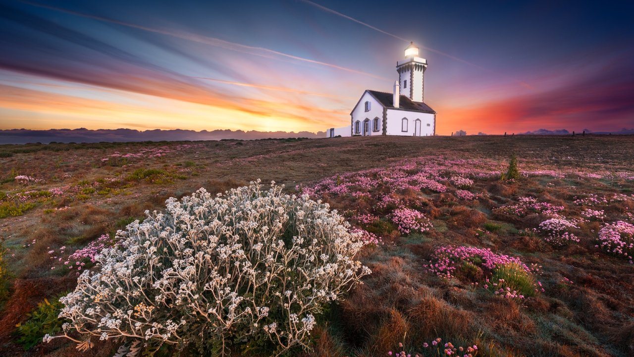 Обои небо, свет, цветы, закат, маяк, побережье, o.d photographies, the sky, light, flowers, sunset, lighthouse, coast разрешение 6016x4016 Загрузить