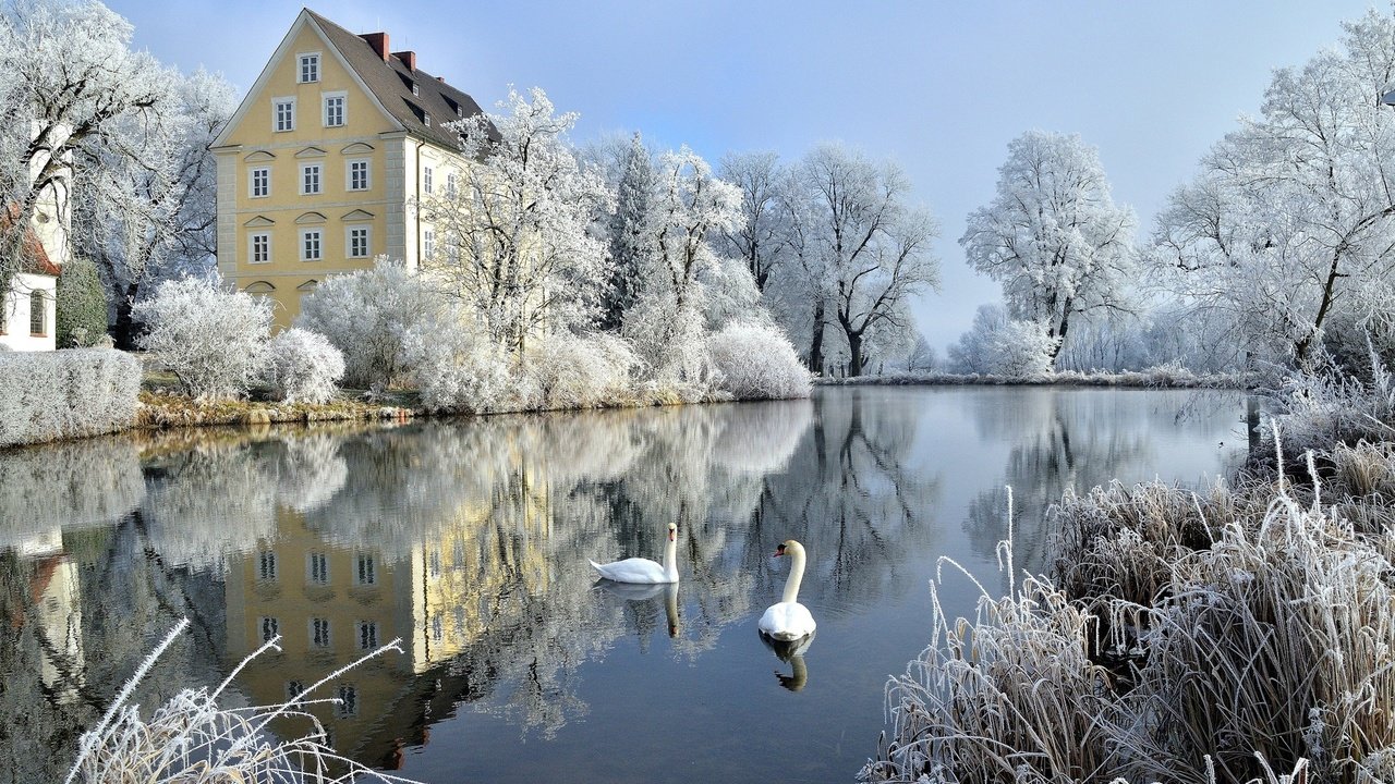 Обои деревья, германия, зима, лебеди, отражение, бавария, кусты, schloss erching, халльбергмос, замок, hallbergmoos, иней, птицы, пруд, trees, germany, winter, swans, reflection, bayern, the bushes, castle, frost, birds, pond разрешение 2048x1279 Загрузить