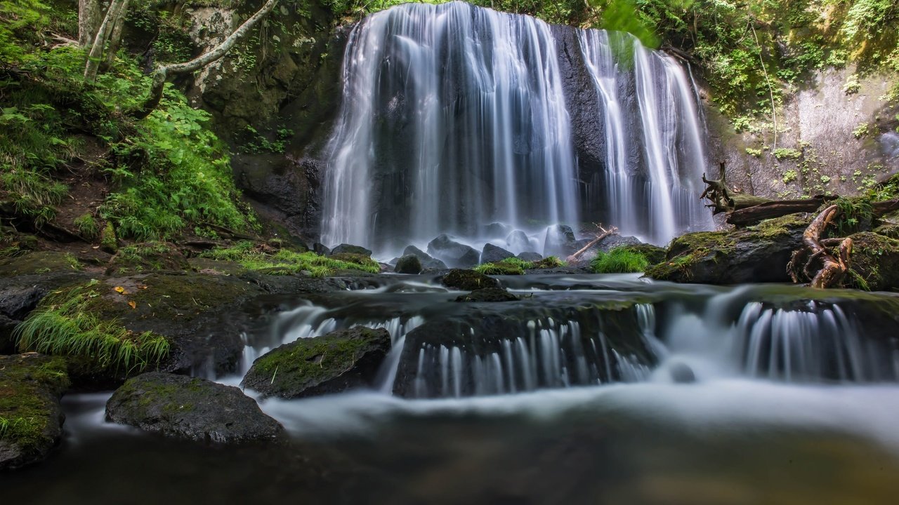 Обои деревья, вода, камни, листья, водопад, поток, мох, trees, water, stones, leaves, waterfall, stream, moss разрешение 2048x1367 Загрузить