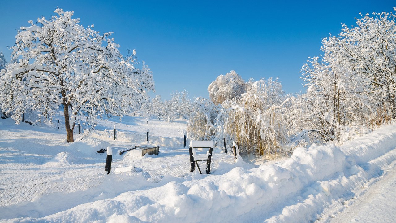 Обои небо, деревья, снег, природа, зима, сугробы, matej paluh, the sky, trees, snow, nature, winter, the snow разрешение 1920x1200 Загрузить