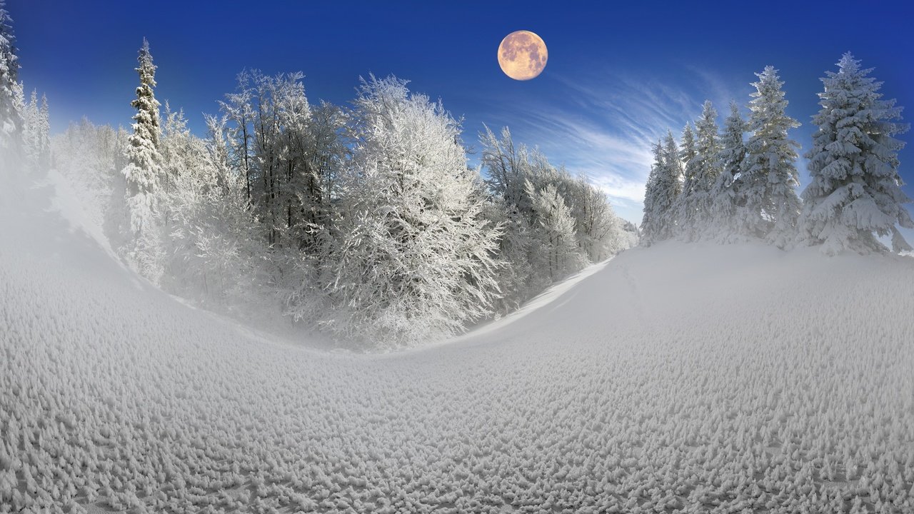 Обои небо, деревья, снег, природа, лес, зима, луна, сугробы, the sky, trees, snow, nature, forest, winter, the moon, the snow разрешение 2880x1800 Загрузить