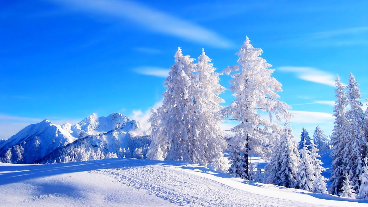 Обои небо, облака, деревья, горы, снег, зима, иней, the sky, clouds, trees, mountains, snow, winter, frost разрешение 5111x3402 Загрузить