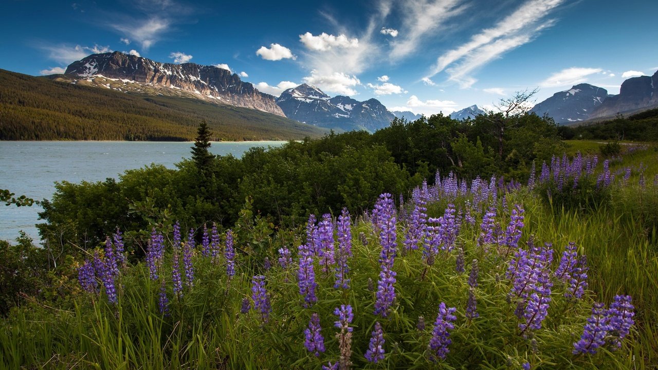 Обои небо, цветы, облака, река, горы, утро, лето, the sky, flowers, clouds, river, mountains, morning, summer разрешение 2048x1365 Загрузить