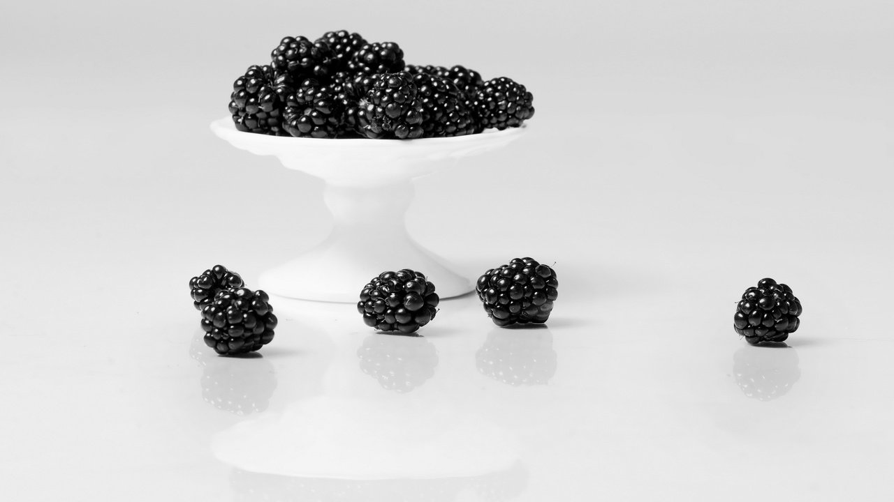 Обои фон, еда, ягоды, белый фон, ежевика, background, food, berries, white background, blackberry разрешение 2560x1709 Загрузить