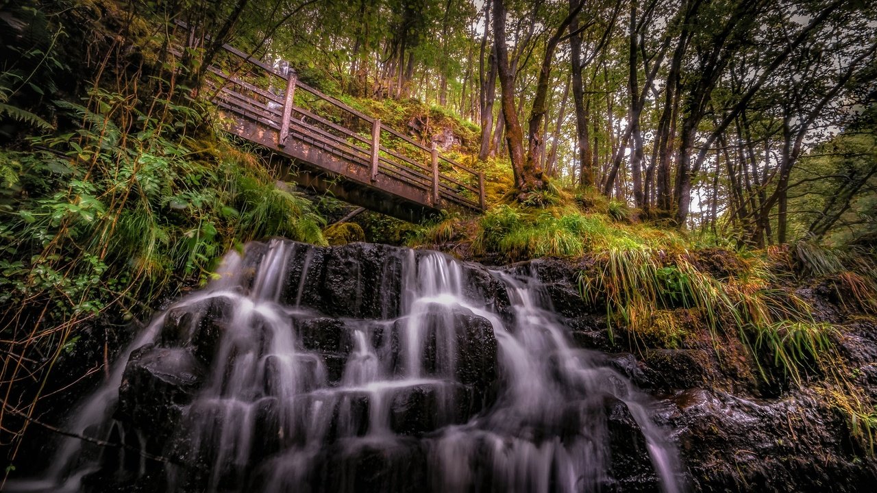 Обои скалы, лес, мост, водопад, уэльс, истрадфеллт, rocks, forest, bridge, waterfall, wales, ystradfellte разрешение 2048x1152 Загрузить