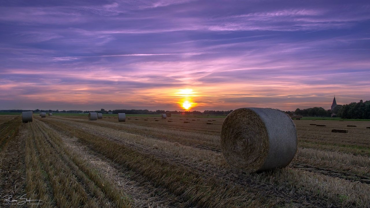 Обои небо, облака, закат, поле, сено, лето, тюки, рулоны, the sky, clouds, sunset, field, hay, summer, bales, rolls разрешение 2048x1152 Загрузить