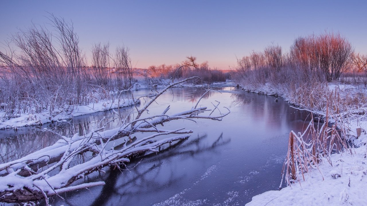 Обои река, снег, природа, зима, пейзаж, стволы, кусты, river, snow, nature, winter, landscape, trunks, the bushes разрешение 1920x1200 Загрузить