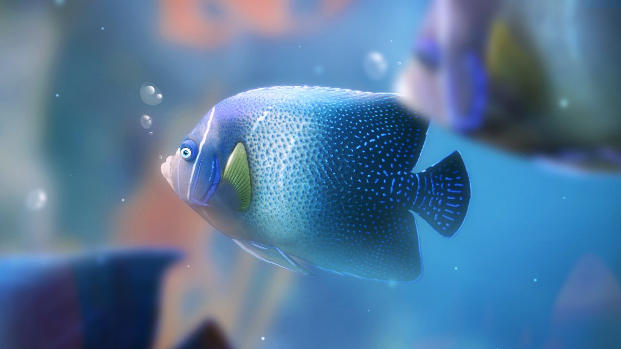 Обои пузыри, аквариум, рыба, bubbles, aquarium, fish разрешение 2560x1440 Загрузить