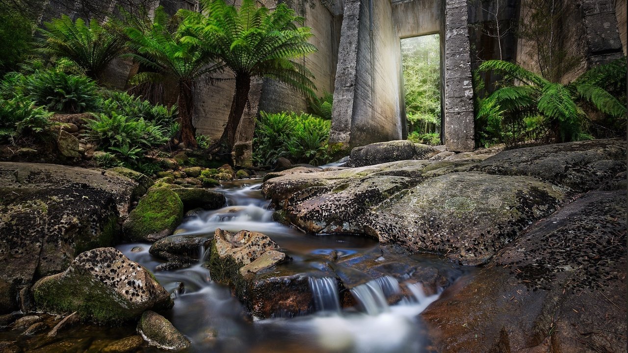 Обои вода, листья, водопад, осень, поток, пальмы, water, leaves, waterfall, autumn, stream, palm trees разрешение 2048x1365 Загрузить