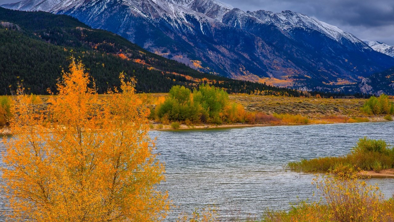 Обои деревья, река, горы, осень, сша, колорадо, аспен, trees, river, mountains, autumn, usa, colorado, aspen разрешение 1920x1360 Загрузить