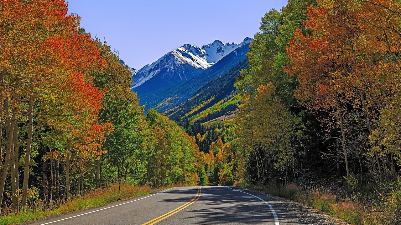 Обои дорога, деревья, горы, осень, сша, колорадо, лайзард хед пасс, road, trees, mountains, autumn, usa, colorado, lizard head pass разрешение 2048x1201 Загрузить