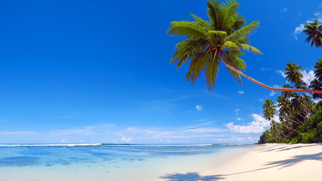 Обои море, пляж, тропики, 14, sea, beach, tropics разрешение 5600x3789 Загрузить