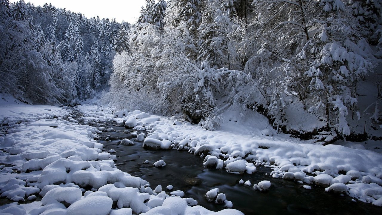 Обои река, снег, природа, лес, зима, river, snow, nature, forest, winter разрешение 1920x1200 Загрузить