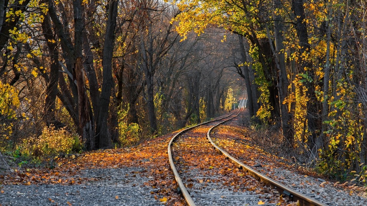 Обои деревья, железная дорога, рельсы, природа, лес, листья, парк, осень, trees, railroad, rails, nature, forest, leaves, park, autumn разрешение 1920x1080 Загрузить