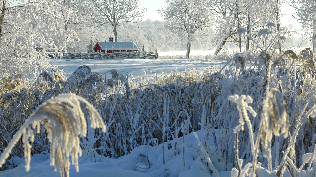 Обои деревья, снег, природа, зима, кусты, иней, деревня, домик, trees, snow, nature, winter, the bushes, frost, village, house разрешение 2880x1800 Загрузить