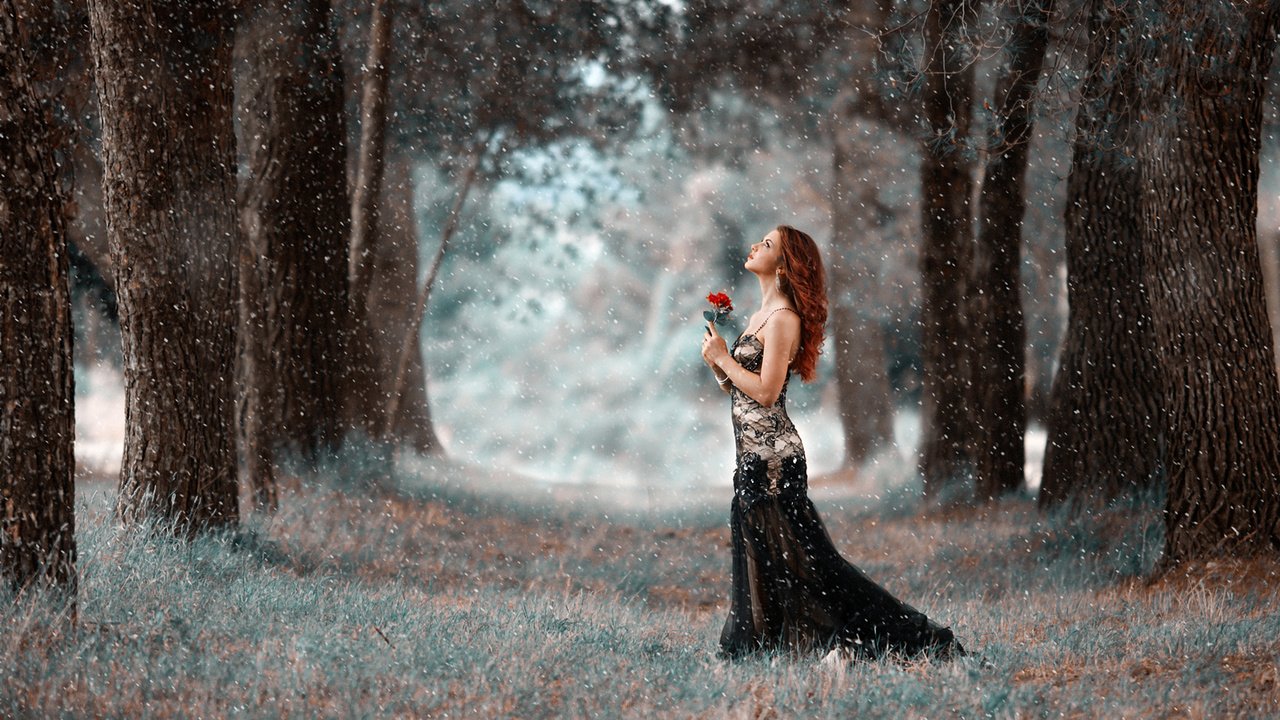 Обои деревья, девушка, парк, платье, цветок, прогулка, снегопад, trees, girl, park, dress, flower, walk, snowfall разрешение 1920x1200 Загрузить