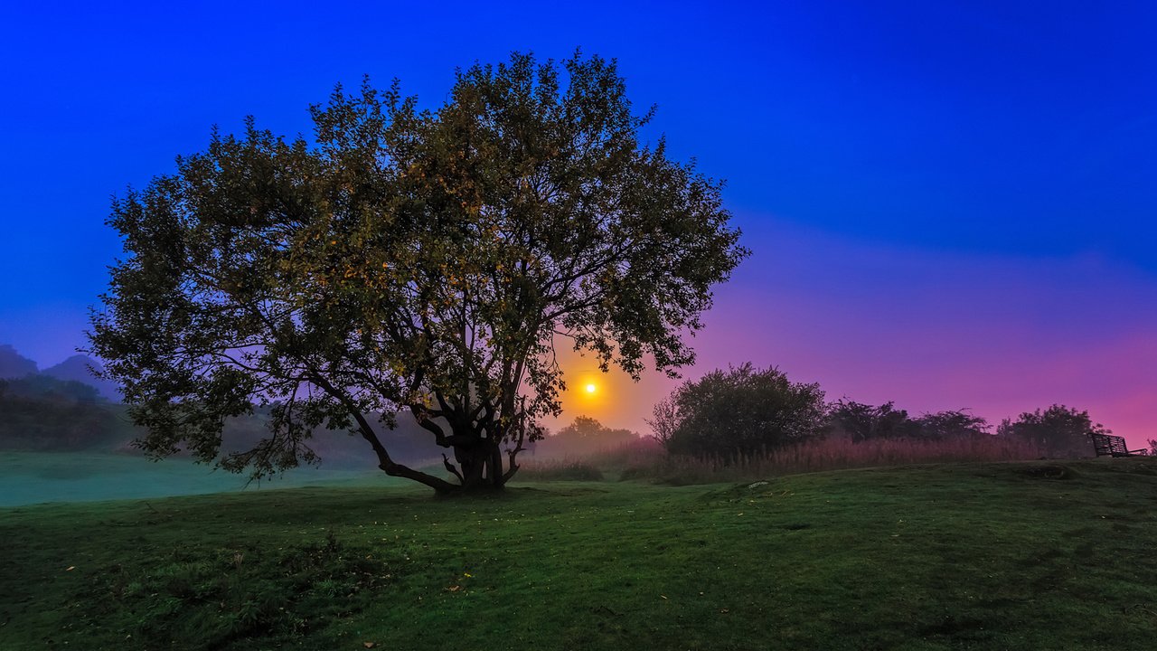 Обои вечер, природа, дерево, закат, пейзаж, сумерки, a w mcmahon, the evening, nature, tree, sunset, landscape, twilight разрешение 1920x1200 Загрузить