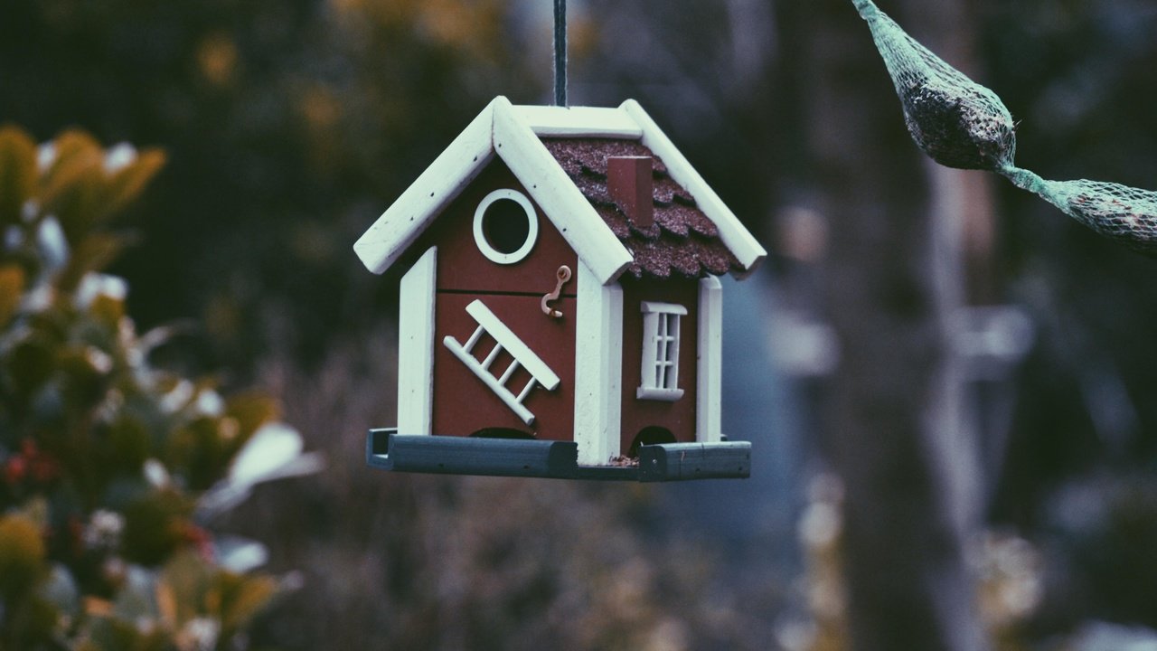 Обои природа, размытость, домик, скворечник, кормушка, птичий домик, nature, blur, house, birdhouse, feeder, bird house разрешение 4288x2848 Загрузить