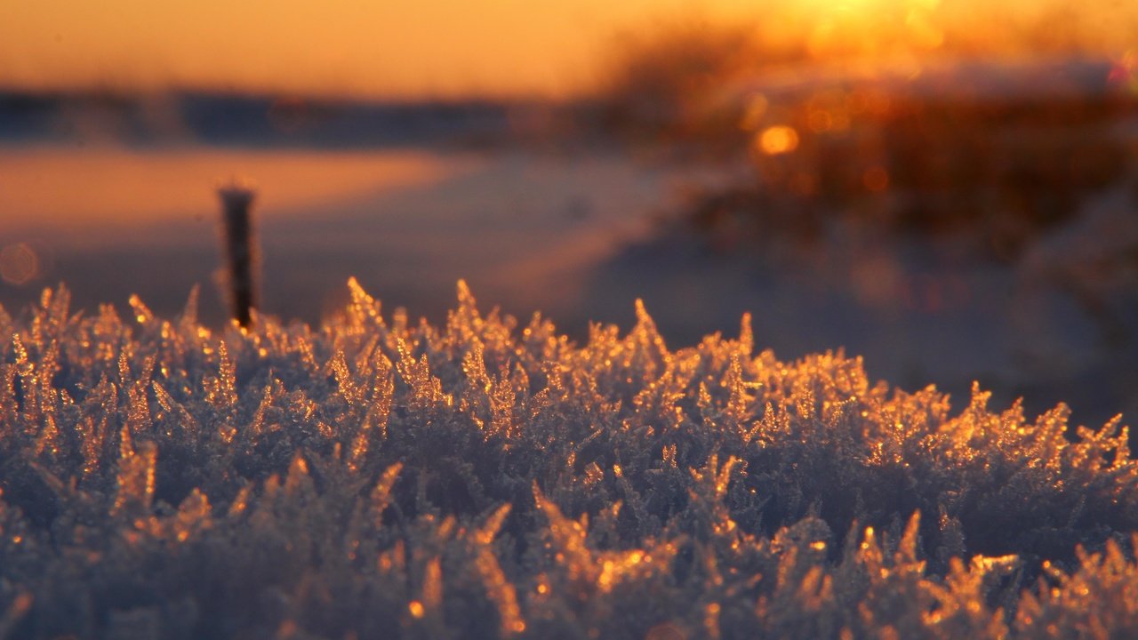 Обои мороз, иней, блеск, frost, shine разрешение 5184x3456 Загрузить