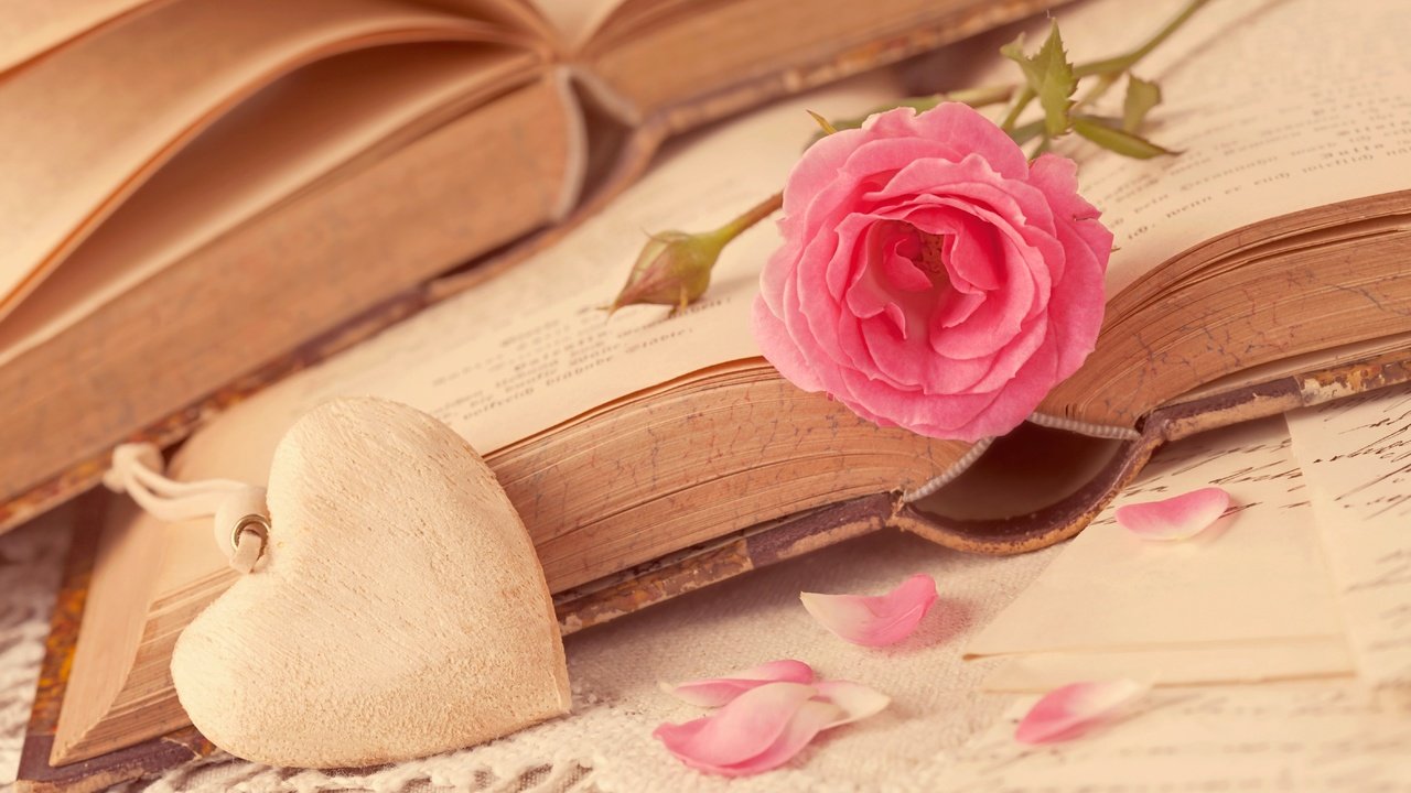 Обои цветок, роза, лепестки, книги, сердце, любовь, романтика, flower, rose, petals, books, heart, love, romance разрешение 5616x3744 Загрузить