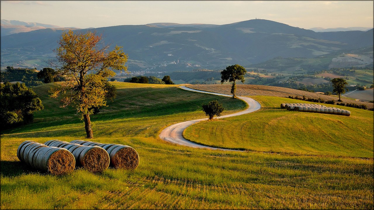 Обои дорога, трава, деревья, холмы, поле, сено, италиа, road, grass, trees, hills, field, hay, italia разрешение 2048x1152 Загрузить