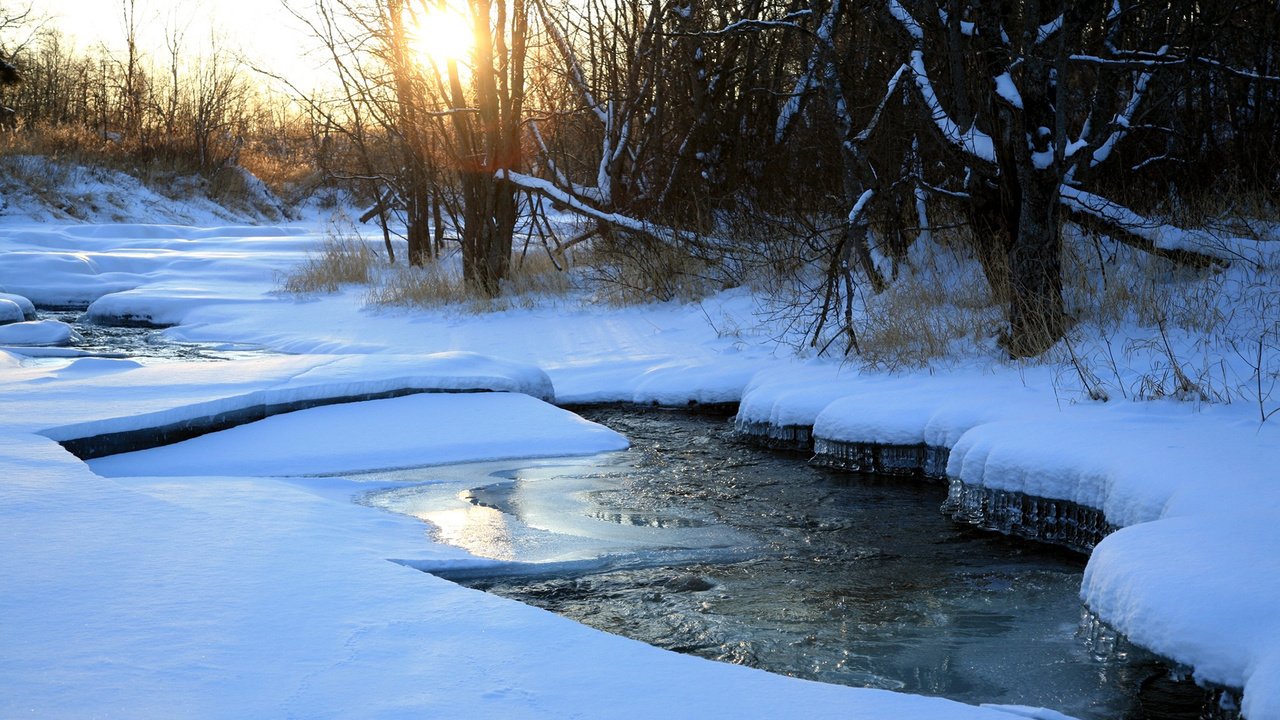 Обои деревья, река, снег, природа, зима, trees, river, snow, nature, winter разрешение 1920x1200 Загрузить