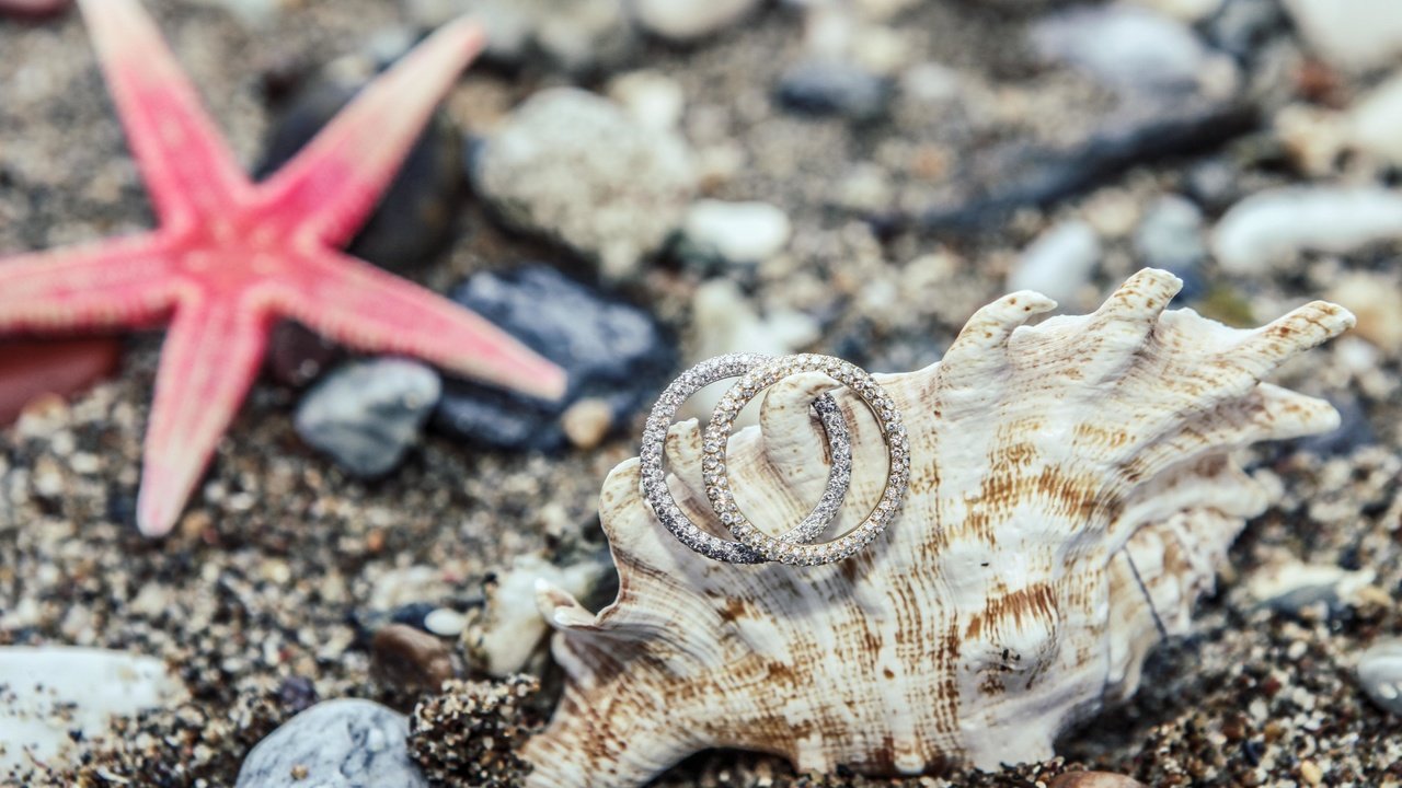 Обои камни, украшения, песок, кольца, ракушка, морская звезда, stones, decoration, sand, ring, shell, starfish разрешение 4990x3327 Загрузить