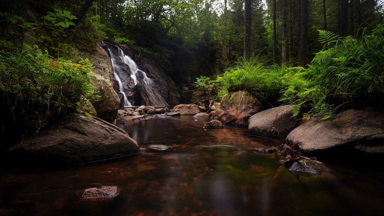 Обои деревья, озеро, камни, лес, ручей, водопад, речка, trees, lake, stones, forest, stream, waterfall, river разрешение 1920x1200 Загрузить