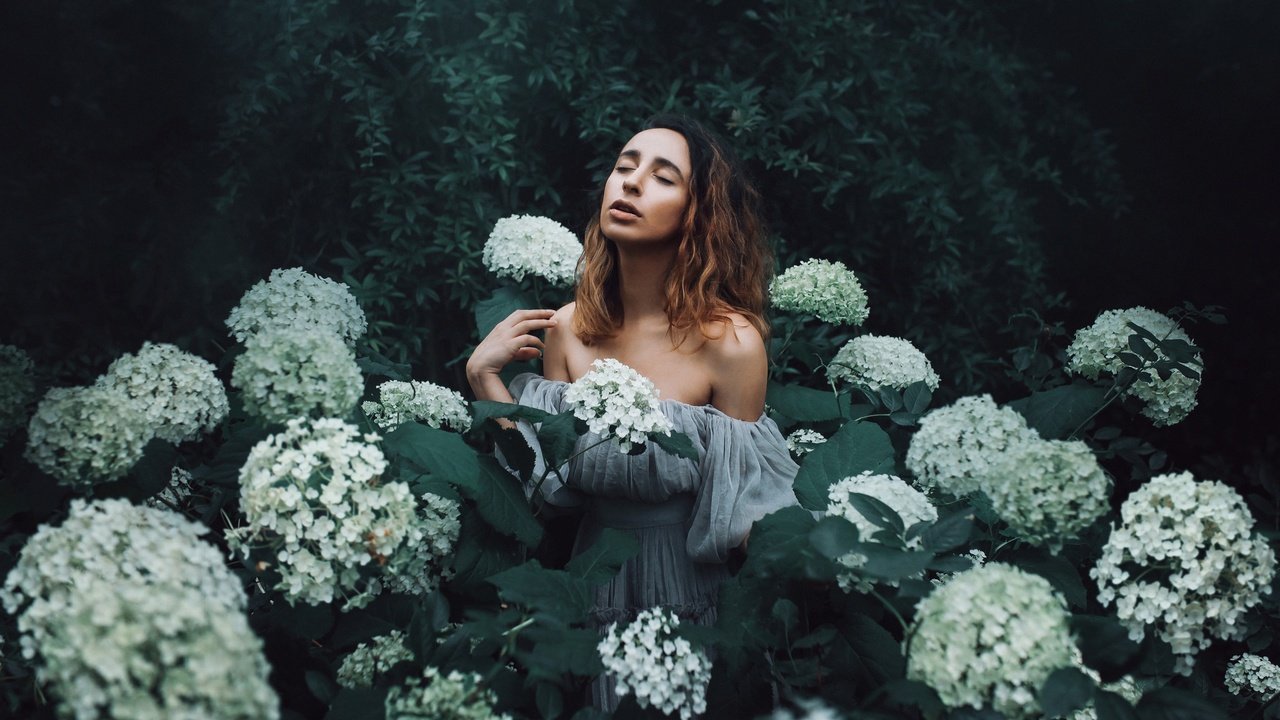 Обои цветы, девушка, настроение, гортензия, amy spanos, flowers, girl, mood, hydrangea разрешение 2048x1365 Загрузить