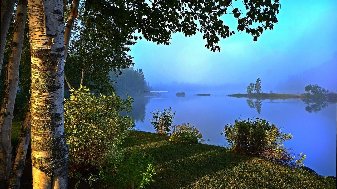 Обои трава, береза, река, берег, утро, туман, пляж, кусты, рассвет, grass, birch, river, shore, morning, fog, beach, the bushes, dawn разрешение 1920x1261 Загрузить