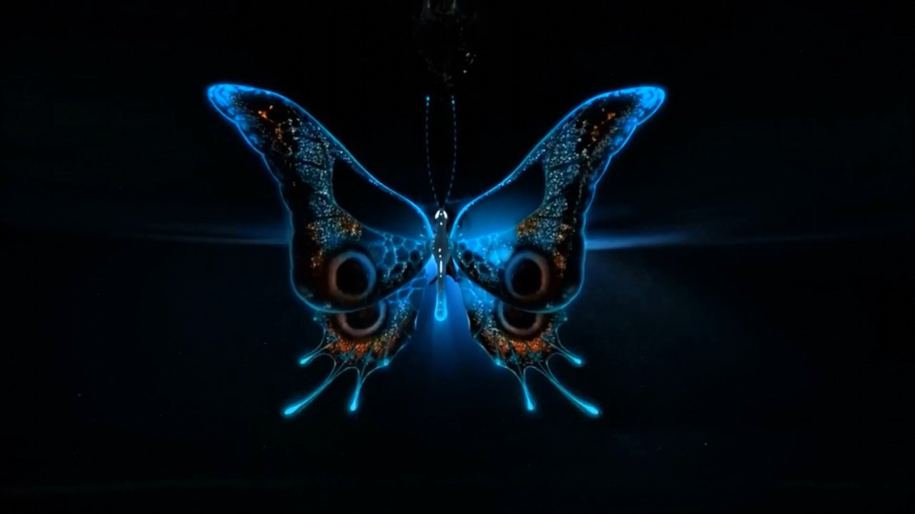 Обои свет, неон, насекомое, бабочка, крылья, черный фон, 3д, light, neon, insect, butterfly, wings, black background, 3d разрешение 1920x1080 Загрузить