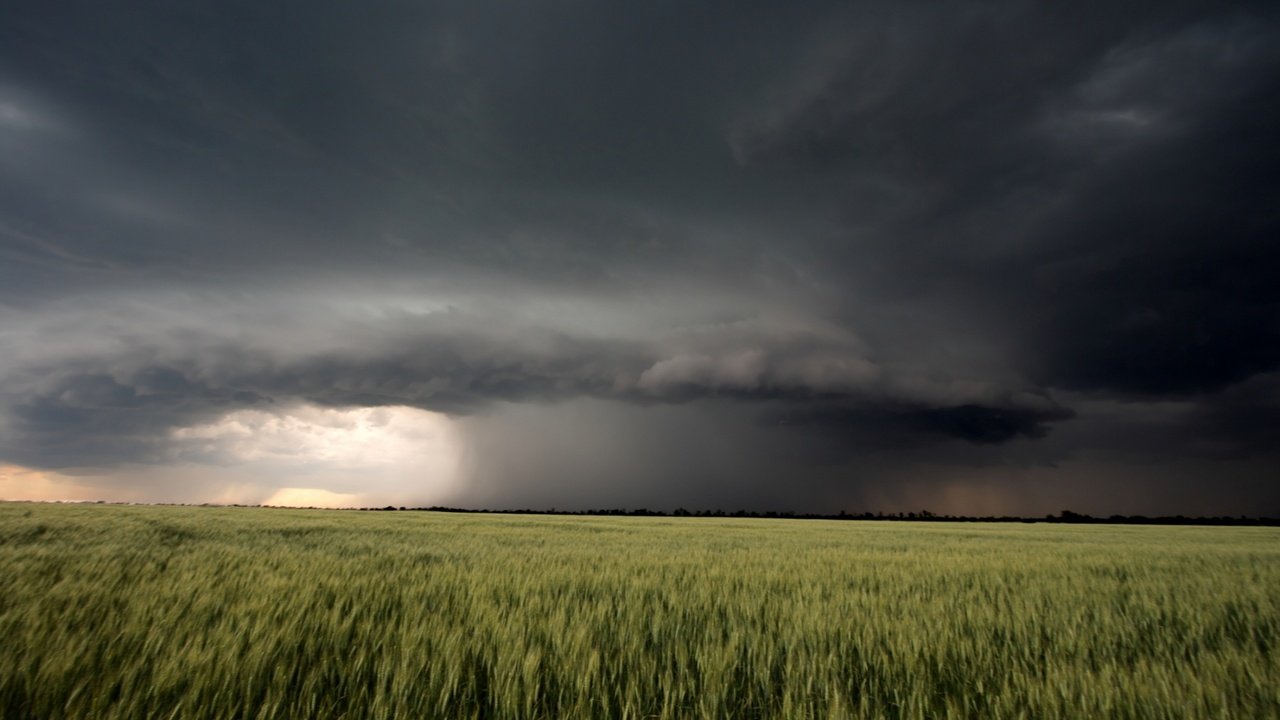 Обои природа, пейзаж, поле, лето, гроза, туча, nature, landscape, field, summer, the storm, cloud разрешение 1920x1080 Загрузить