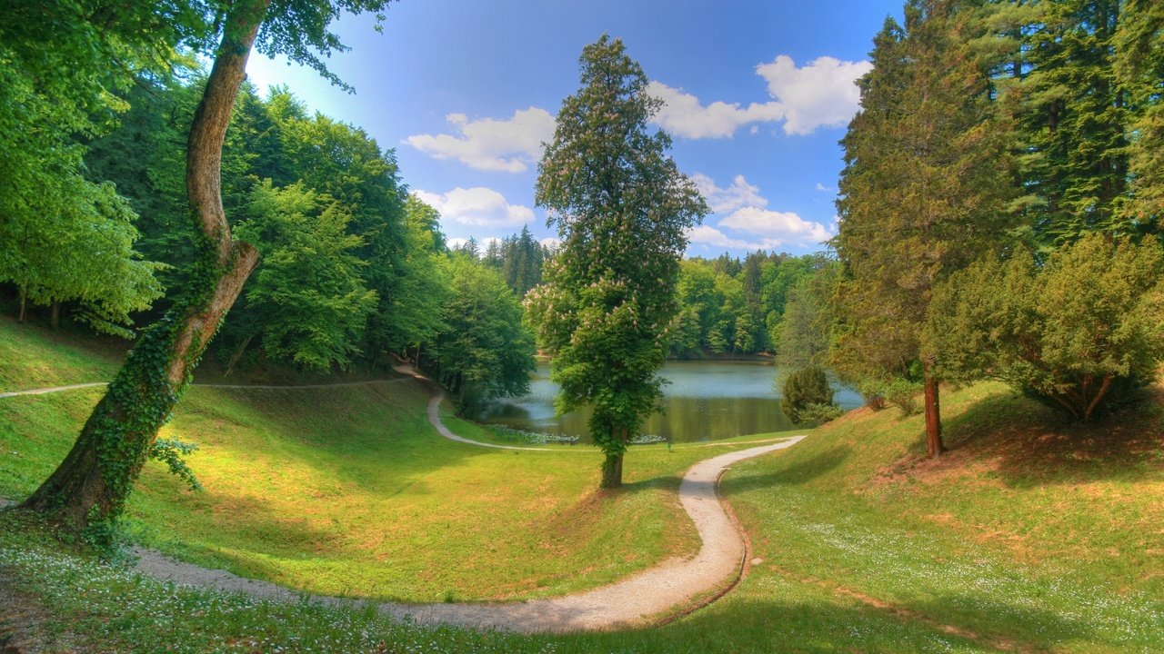 Обои облака, деревья, озеро, тропинка, пруд, clouds, trees, lake, path, pond разрешение 1920x1080 Загрузить