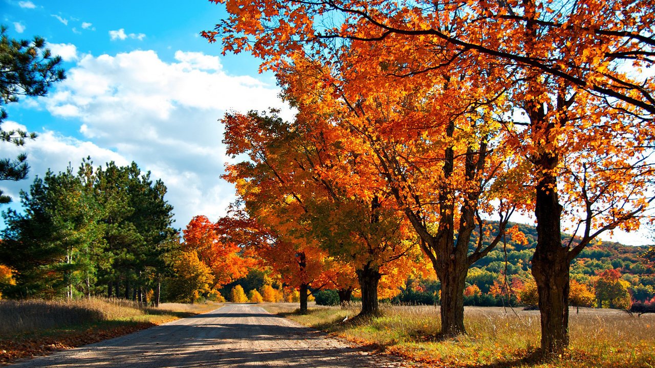 Обои небо, дорога, облака, деревья, природа, лес, осень, the sky, road, clouds, trees, nature, forest, autumn разрешение 1920x1080 Загрузить