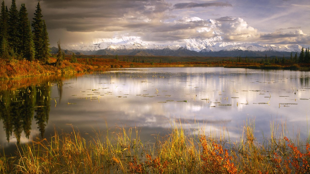 Обои трава, озеро, пасмурно, grass, lake, overcast разрешение 1920x1080 Загрузить