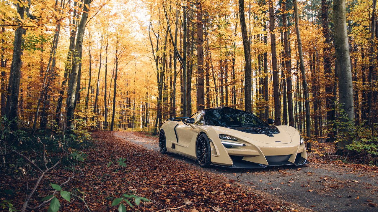 Обои лес, авто, макларен, 720s, forest, auto, mclaren разрешение 2560x1600 Загрузить