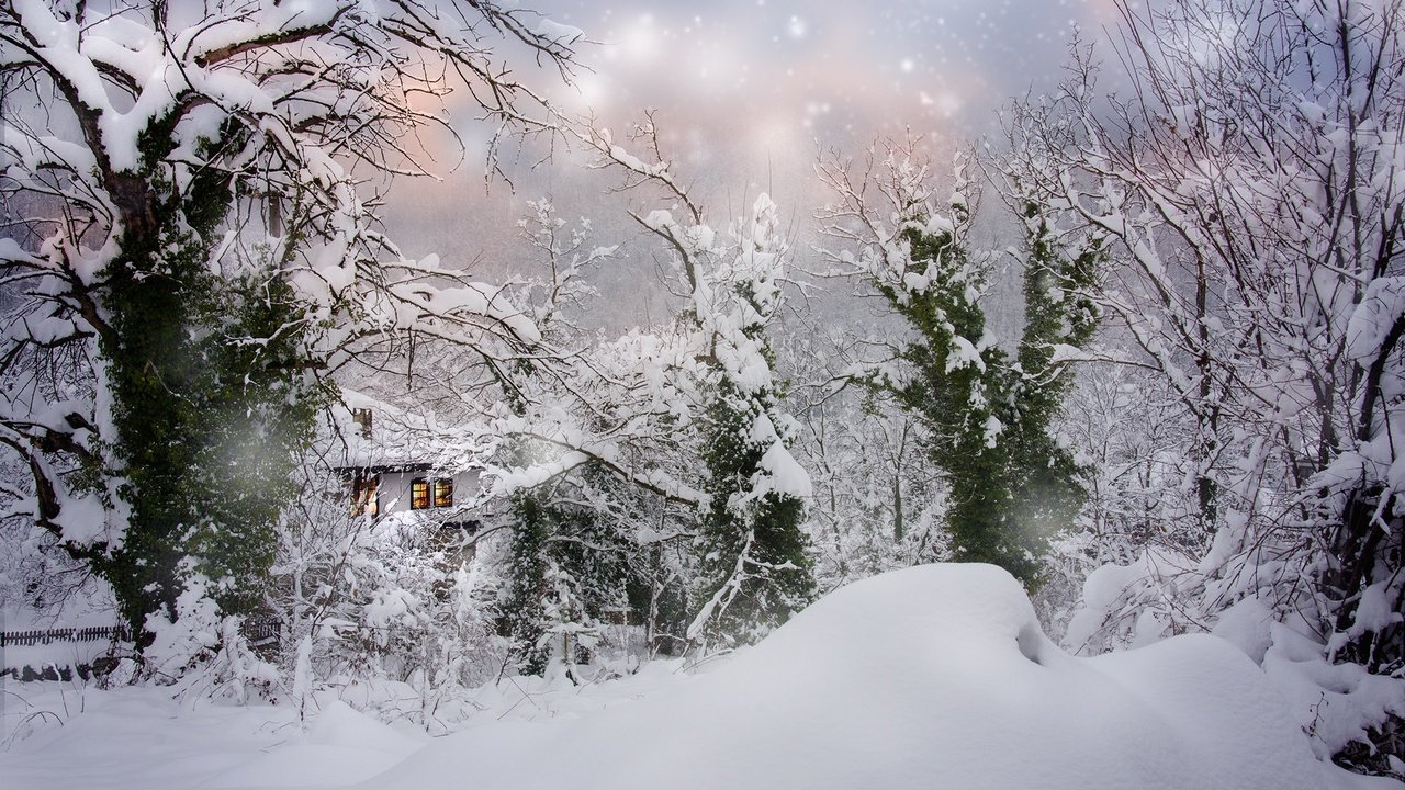 Обои деревья, болгария, снег, природа, зима, пейзаж, дом, сугробы, снегопад, trees, bulgaria, snow, nature, winter, landscape, house, the snow, snowfall разрешение 2000x1325 Загрузить