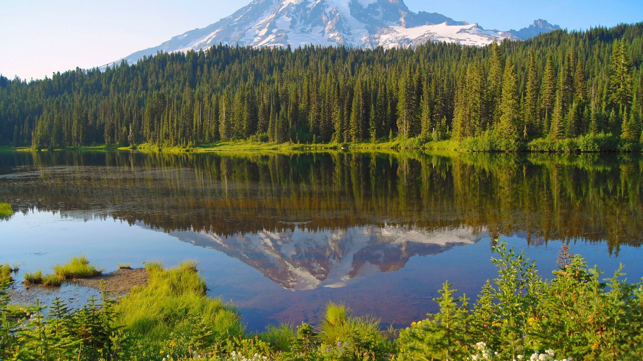 Обои озеро, лес, гора, канада, lake, forest, mountain, canada разрешение 4912x3264 Загрузить