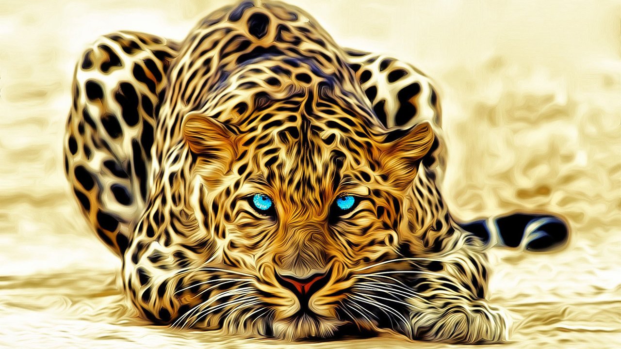 Обои лежит, леопард, голубые глаза, окрас, lies, leopard, blue eyes, color разрешение 1920x1080 Загрузить