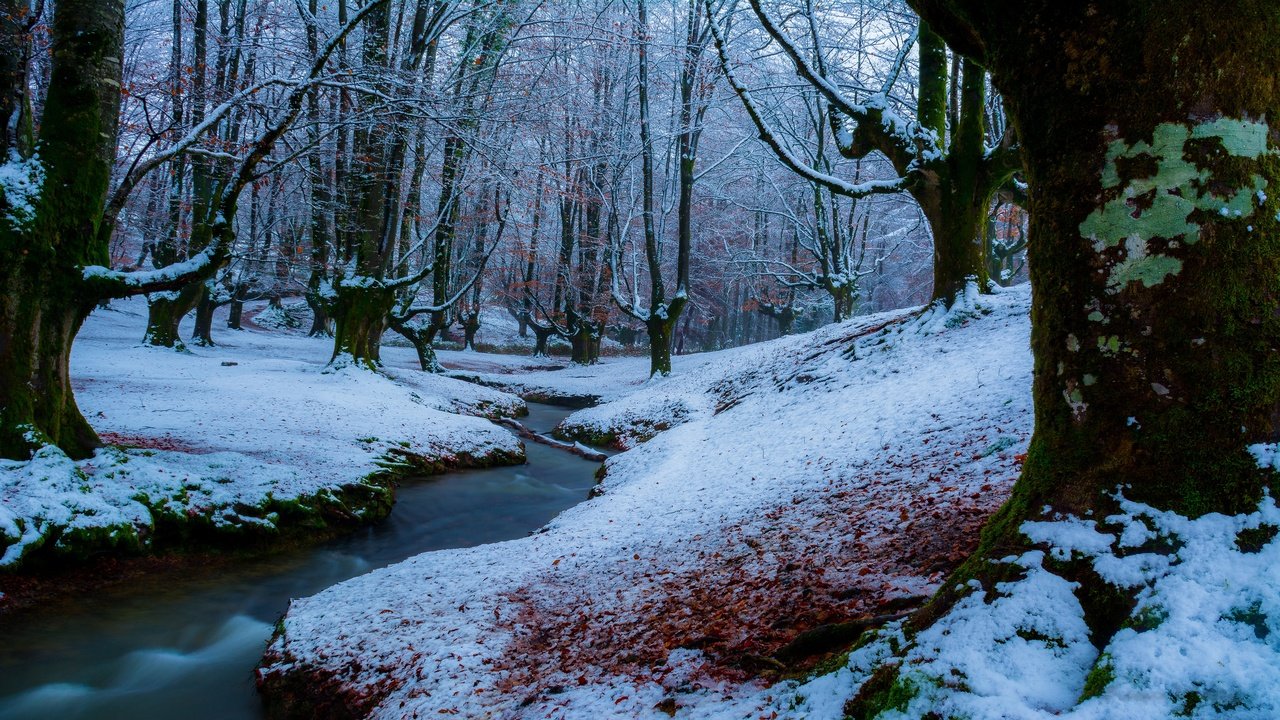 Обои река, снег, природа, лес, зима, ручей, river, snow, nature, forest, winter, stream разрешение 3840x2160 Загрузить