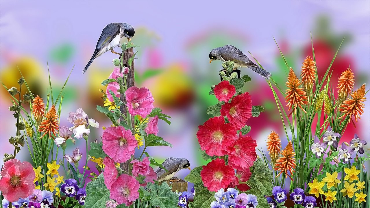 Обои цветы, графика, птички, flowers, graphics, birds разрешение 1920x1080 Загрузить