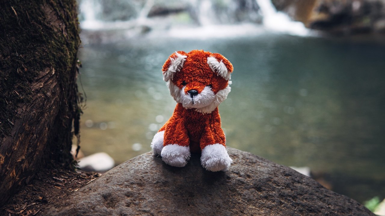 Обои водопад, игрушка, камень, мягкая игрушка, waterfall, toy, stone, soft toy разрешение 3840x2400 Загрузить