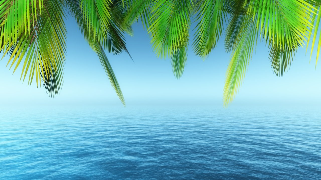Обои море, лето, пальма, тропики, sea, summer, palma, tropics разрешение 6000x4500 Загрузить